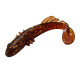 Bait Breath BeTanCo Shad Tail Slim 3"